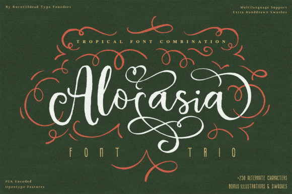 Alocasia Font: A Versatile Typeface for Editorial Design