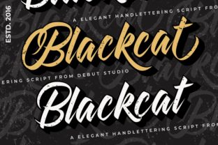 Blackcat Font: Add a Vintage Touch to Your Brand